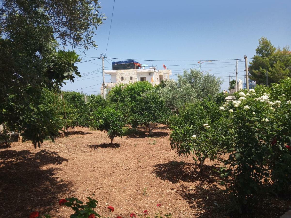 Vila Kylie Ksamil Exteriér fotografie